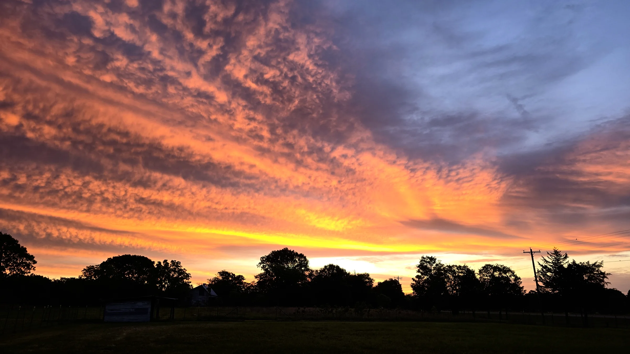 East cam: sunrise color on a sheet of altocumulus over the tree line